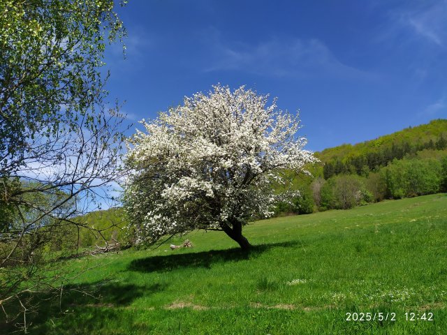 Dom i okolice